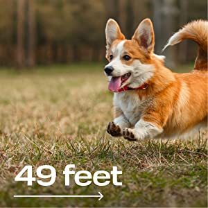 Pets-Yes Ultrasonic Dog Trainer
