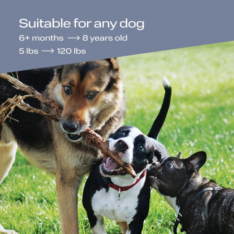 Pets-Yes Ultrasonic Dog Trainer
