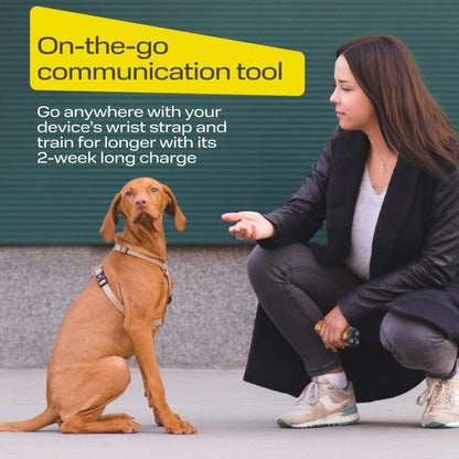 Pets-Yes Ultrasonic Dog Trainer
