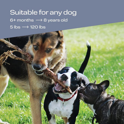 Pets-Yes Ultrasonic Dog Trainer
