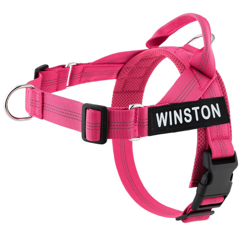 Pets-Yes No-Pull Dog Harness